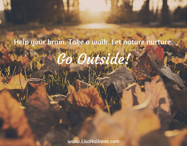 Go outside at www.LisaNalbone.com
